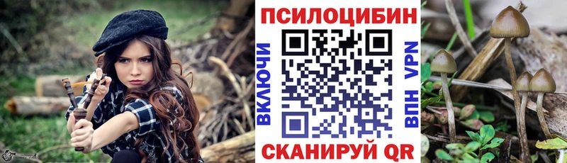 Галлюциногенные грибы MAGIC MUSHROOMS  купить  сайты  ссылка на мегу рабочий сайт  Балаково 